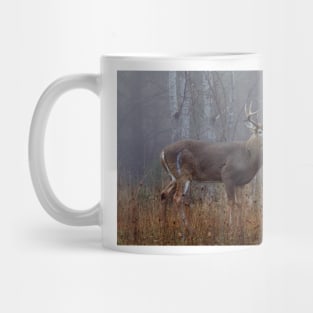 Buck - White-tailed Deer Mug